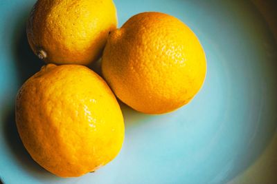 High angle view of oranges