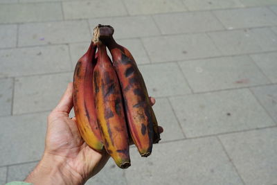 High angle view of person holding food