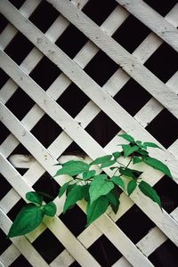 Low angle view of patterned built structure