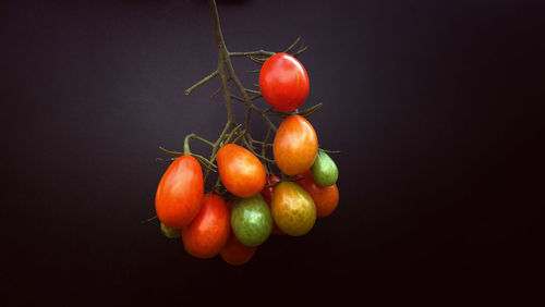 Close-up of red apple