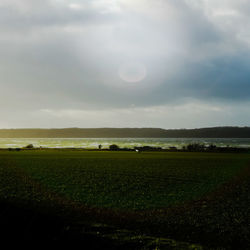 Scenic view of field against sky