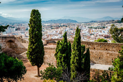 Trees on fort at gibralfaro against cloudy sky