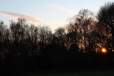 Silhouette trees in forest against sky at sunset