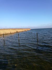 Scenic view of sea against clear blue sky
