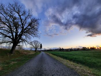 Road amidst bare trees on field against sky