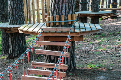 Wooden chairs on field in forest