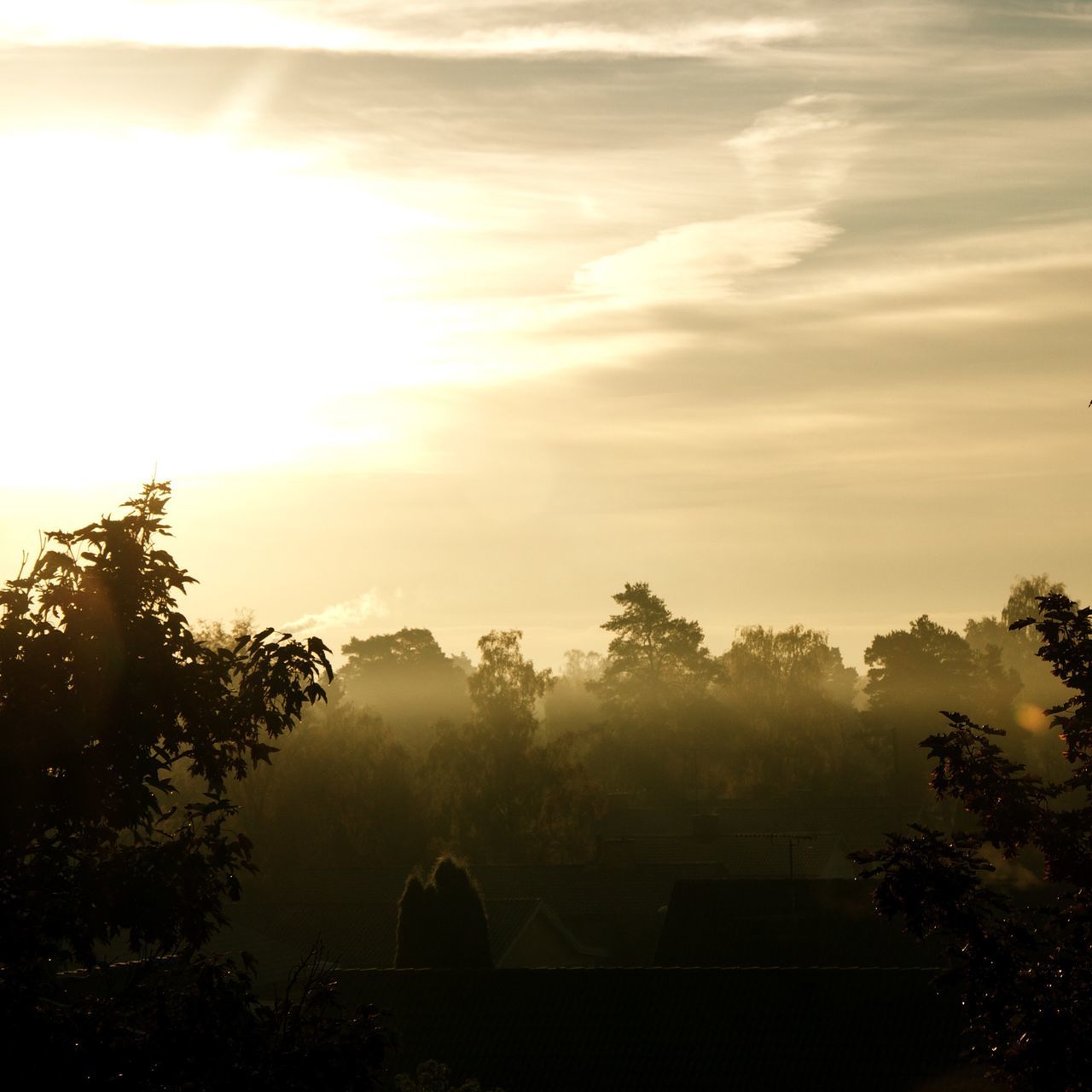 sunset, tree, tranquil scene, silhouette, tranquility, scenics, beauty in nature, sky, sun, nature, cloud - sky, idyllic, landscape, sunbeam, fog, sunlight, non-urban scene, orange color, growth, outdoors