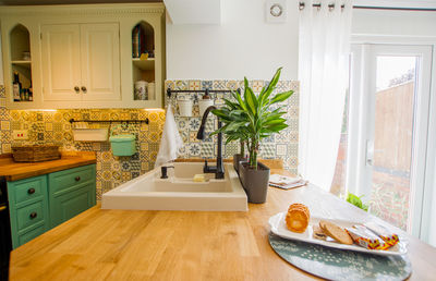 Potted plants on table at home