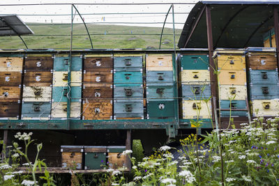 Houses of the bees are placed on the green grass in the mountains. row of bee hives in a field 