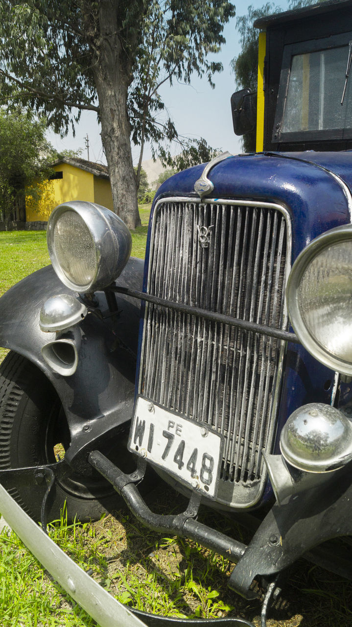 car, vehicle, motor vehicle, mode of transportation, land vehicle, vintage car, transportation, antique car, plant, headlight, retro styled, day, tree, nature, metal, no people, grass, outdoors
