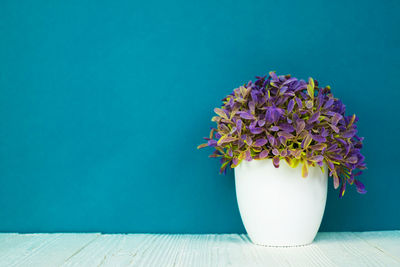 Close-up of potted plant on table against blue wall