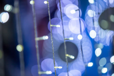 Defocused image of string lights