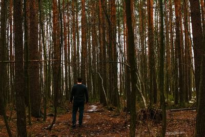 Rear view of people walking in forest