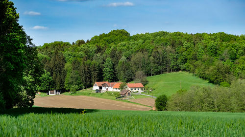 Scenic view of agricultural field against sky