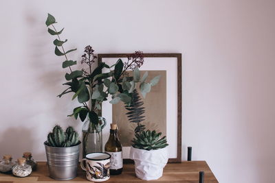 Potted plants on table against wall at home