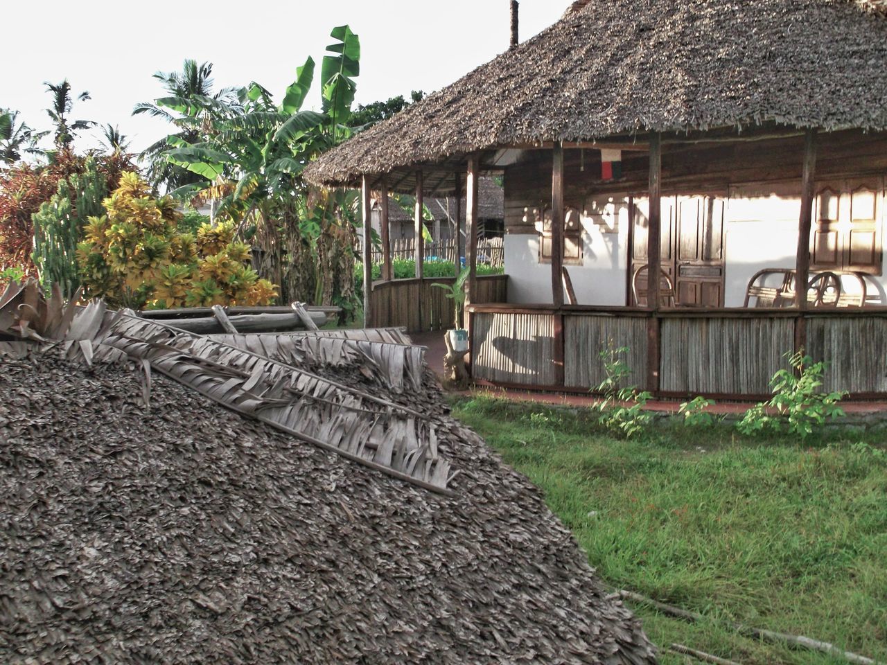 architecture, built structure, building exterior, plant, roof, building, house, thatched roof, nature, thatching, village, no people, hut, day, residential district, tree, sky, outdoors, tropical climate, landscape, grass, land, growth, wood, rural scene, travel destinations