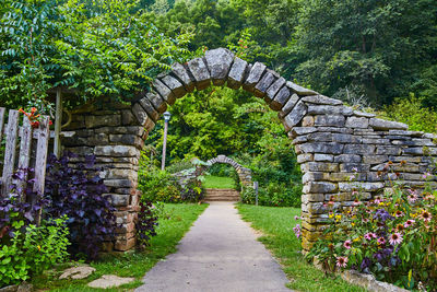 Footpath amidst plants in garden