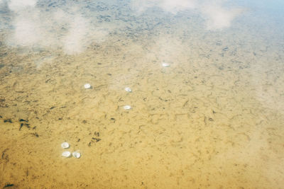 Full frame shot of beach