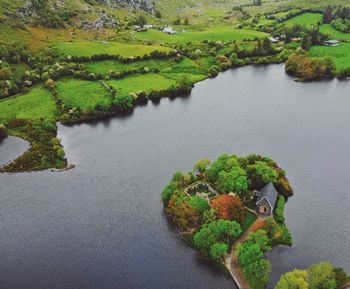 High angle view of lake amidst plants