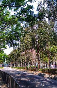 Road amidst trees against sky