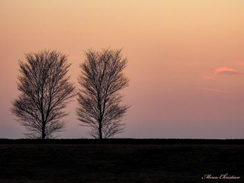 Silhouette bare tree on field against sky during sunset