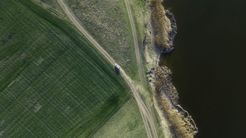 High angle view of plant on road