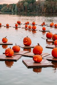 View of pumpkins in lake during autumn