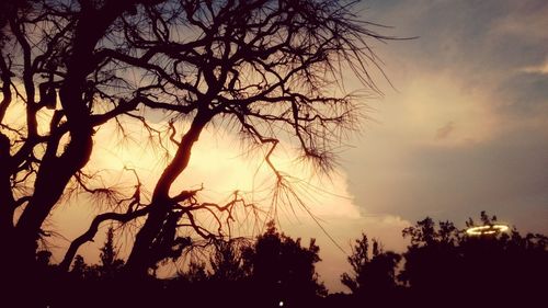 Silhouette of bare trees against sky at sunset