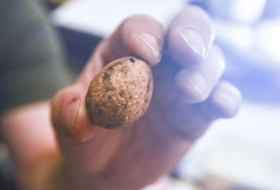 Close-up of hand holding bread