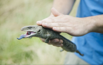 Close-up of hand holding fish