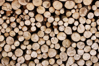 Full frame shot of logs