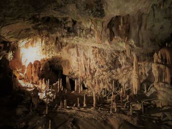 Close-up of cave