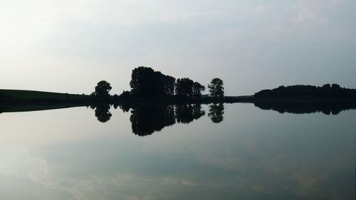 Reflection of trees in calm water