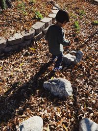 High angle view of boy on field during autumn