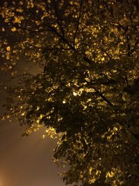 Scenic view of yellow sky with reflection in water