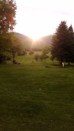 Scenic view of grassy field against sky at sunset