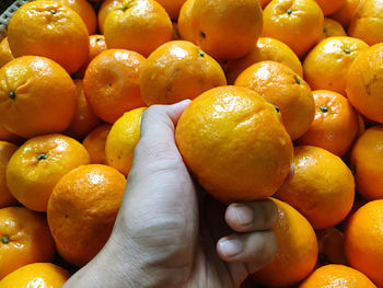 Close-up of oranges for sale in market