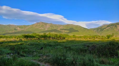 Scenic view of landscape and mountains against sky