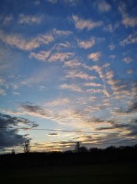 Silhouette trees on field against sky at sunset