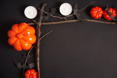 High angle view of tomatoes on table against black background