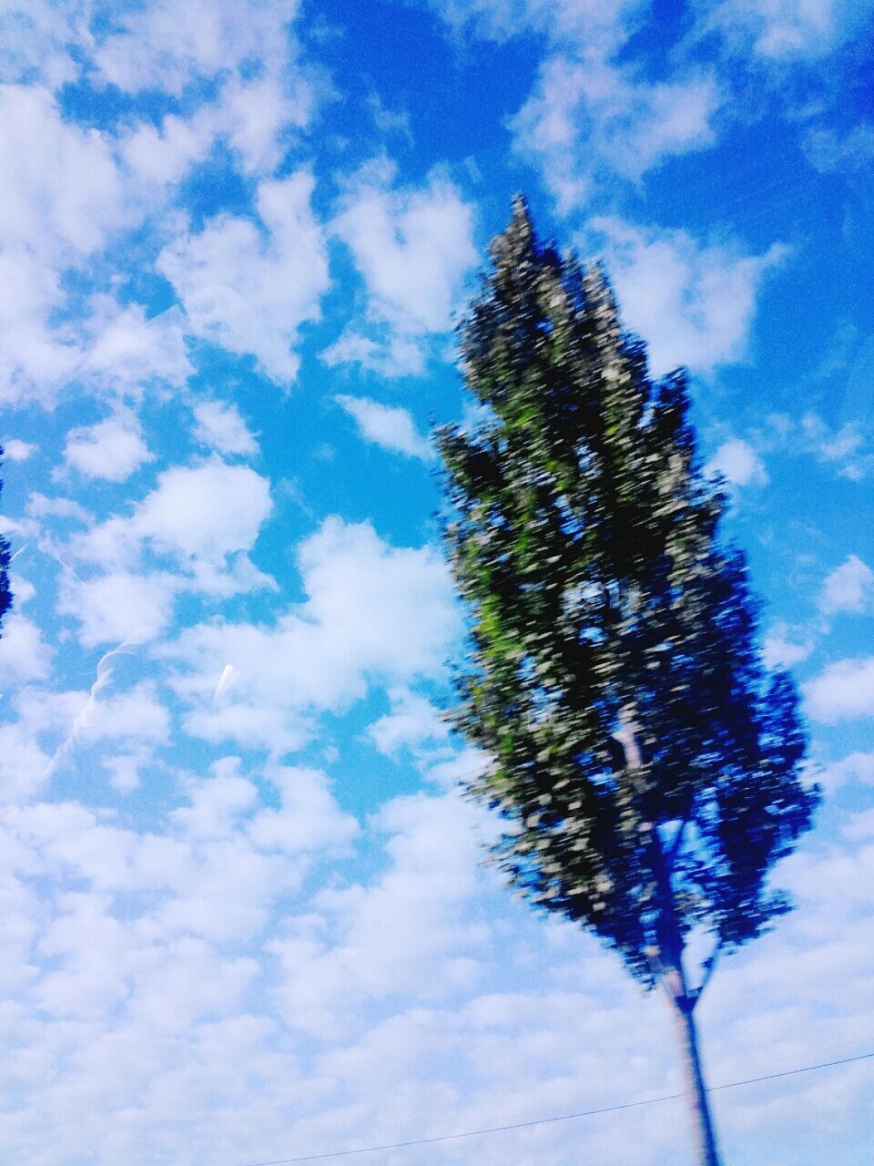 sky, low angle view, tree, cloud - sky, tranquility, beauty in nature, nature, growth, blue, cloud, tranquil scene, cloudy, scenics, day, outdoors, no people, branch, weather, sunlight, idyllic