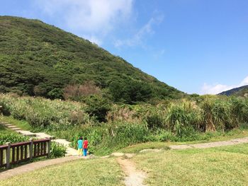 mountain
