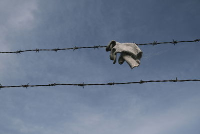 Low angle view of barbed wire against sky