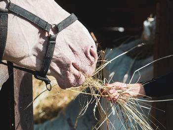 Close-up of man working