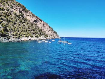 Sailboats sailing in sea against clear blue sky