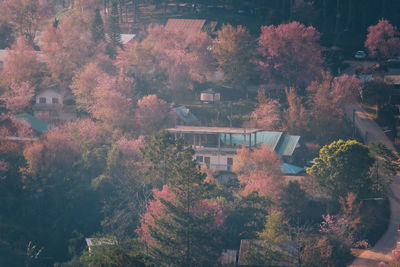 High angle view of trees and plants in forest during autumn