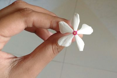 Close-up of hand holding white flower