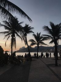 Silhouette palm trees by sea against sky at sunset