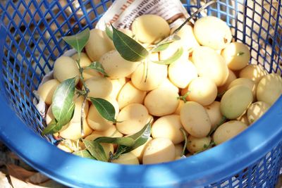 High angle view of eggs in container