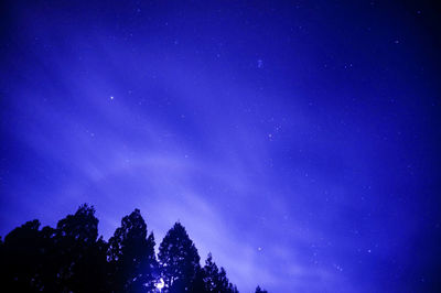 Low angle view of silhouette trees against blue sky at night